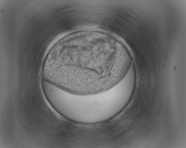 X0000084031432200703161754