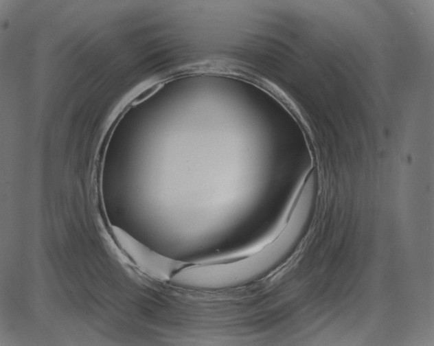 X0000084031434200703161754