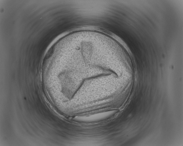 X0000084031436200703161754