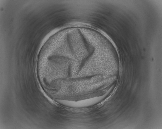 X0000084031437200703161754