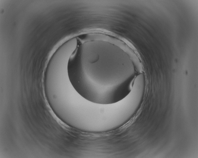 X0000084031438200703161754