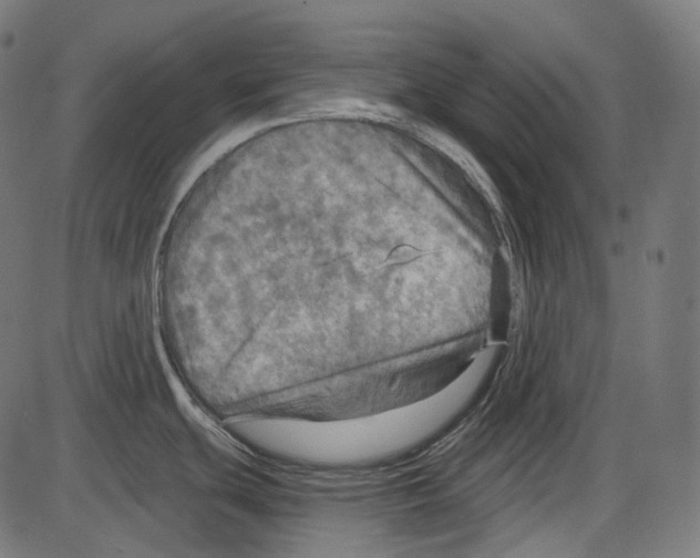 X0000084031439200703161754