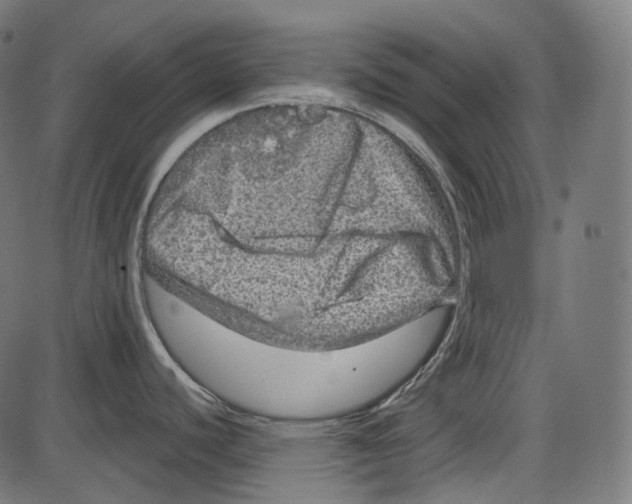 X0000084031440200703161754