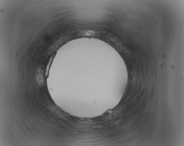 X0000084031442200703161753