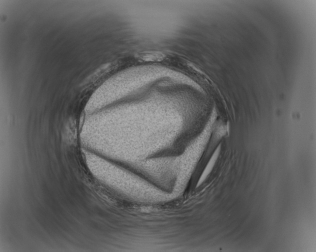 X0000084031443200703161753