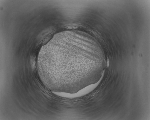 X0000084031444200703161753