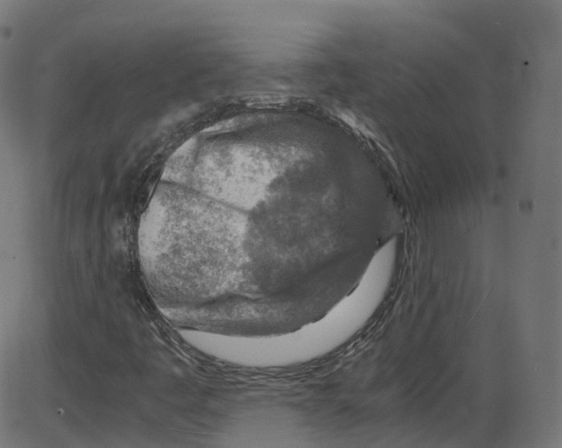 X0000084031445200703161753