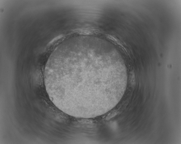 X0000084031446200703161753