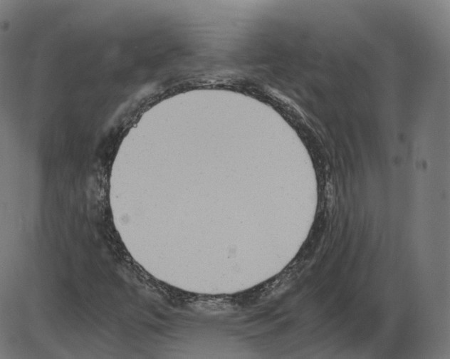 X0000084031447200703161753