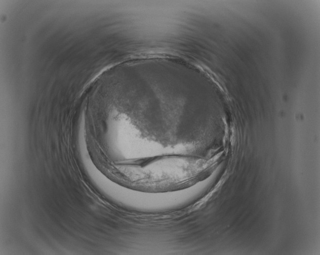 X0000084031449200703161753