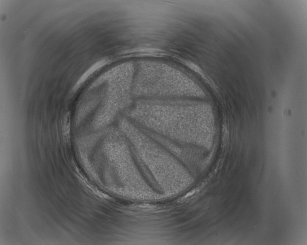 X0000084031450200703161753