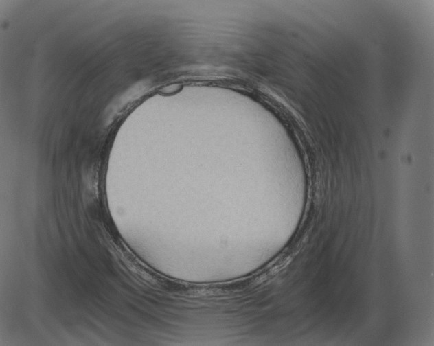 X0000084031451200703161753