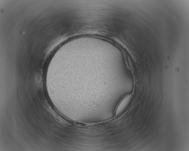 X0000084031452200703161753