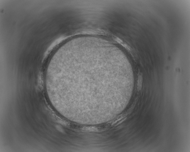 X0000084031454200703161753