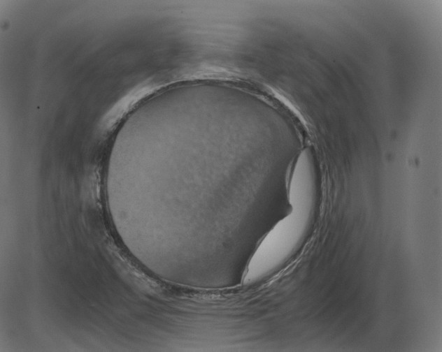 X0000084031455200703161753