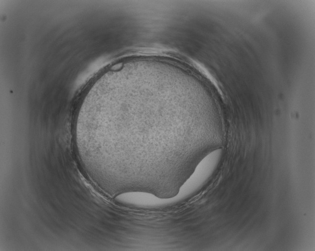 X0000084031456200703161753