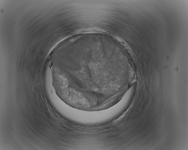 X0000084031457200703161753