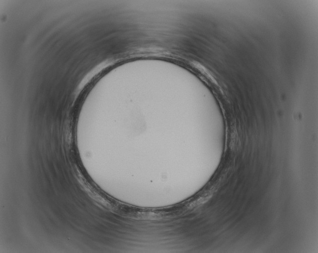 X0000084031458200703161753