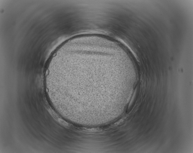 X0000084031460200703161753