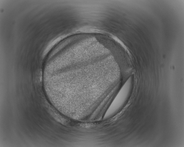 X0000084031461200703161753