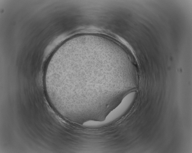 X0000084031464200703161753