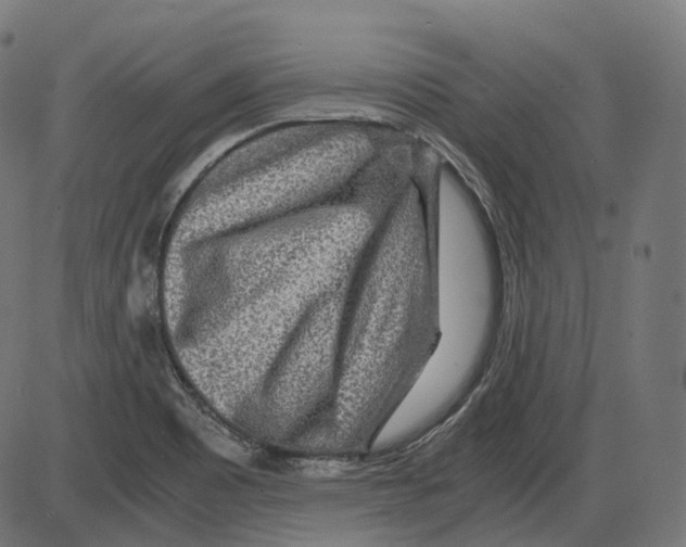 X0000084031465200703161753