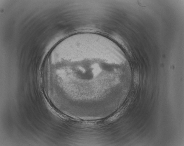 X0000084031466200703161753