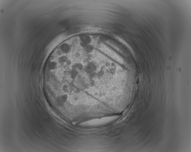 X0000084031467200703161753