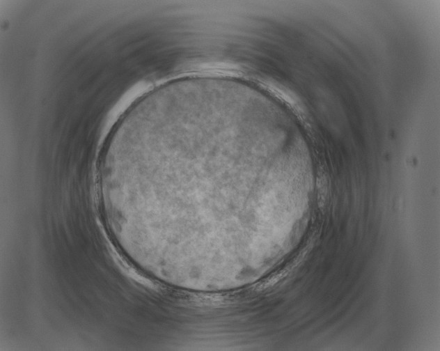 X0000084031470200703161753