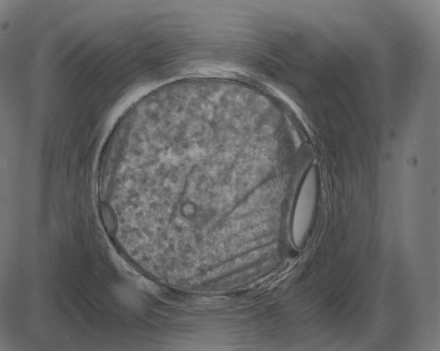 X0000084031471200703161753