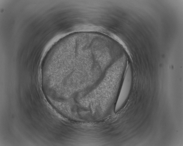 X0000084031472200703161753