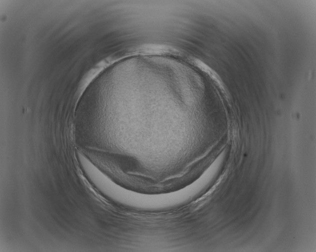 X0000084031473200703161753