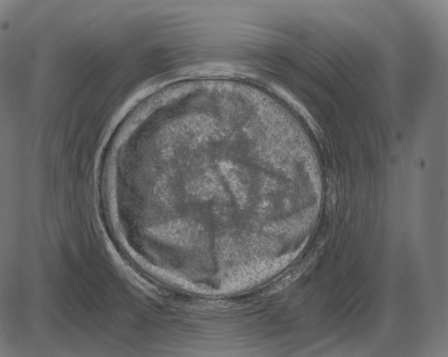 X0000084031475200703161753