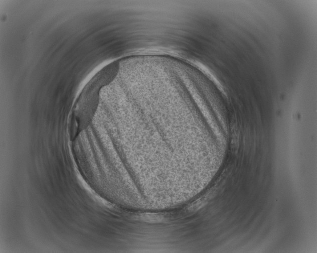 X0000084031476200703161753