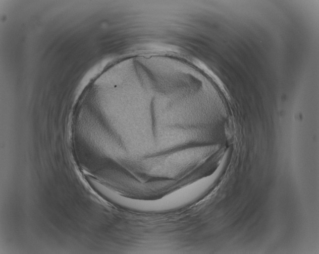 X0000084031477200703161753