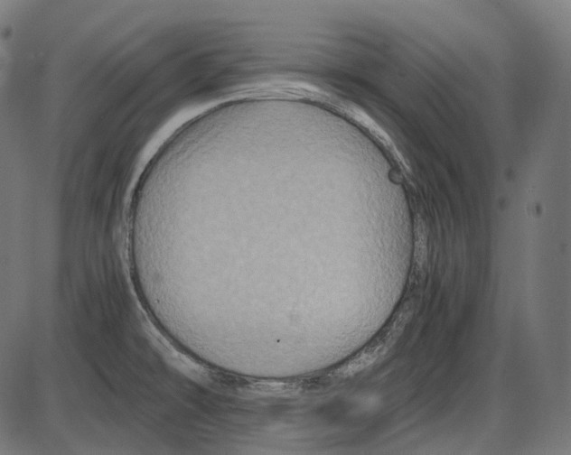 X0000084031478200703161753