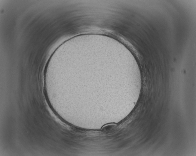 X0000084031479200703161753