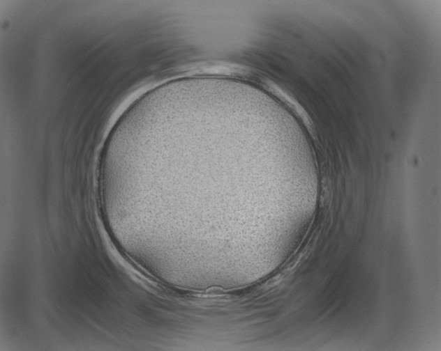 X0000084031483200703161753