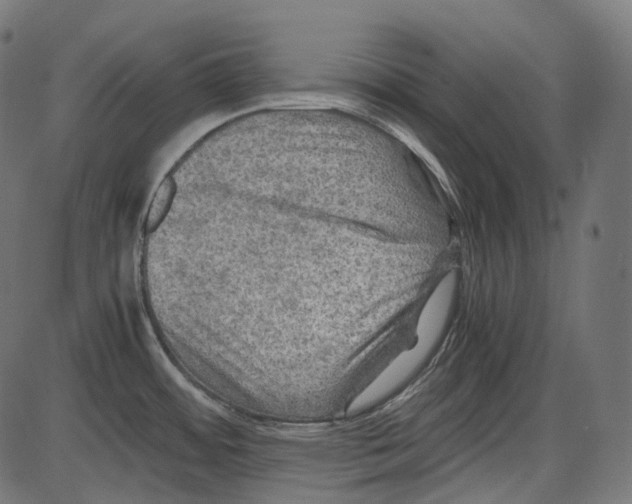 X0000084031484200703161753