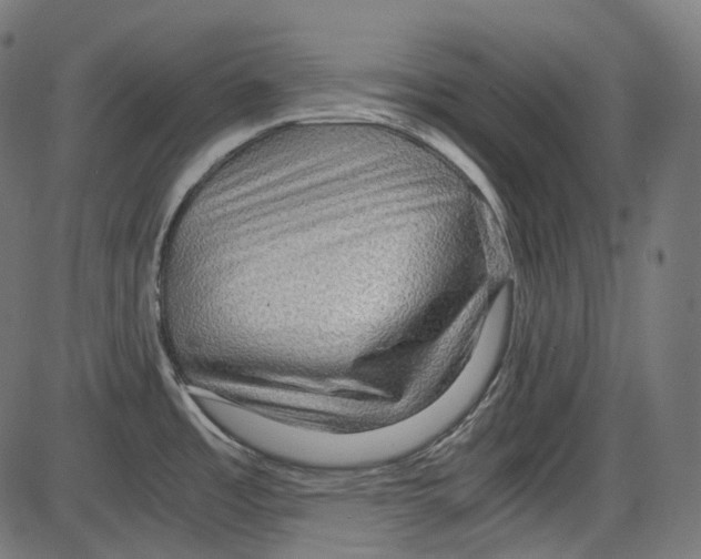 X0000084031485200703161753