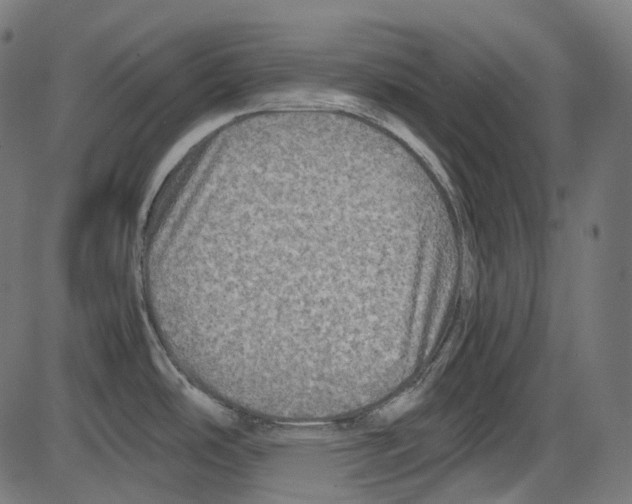 X0000084031486200703161753