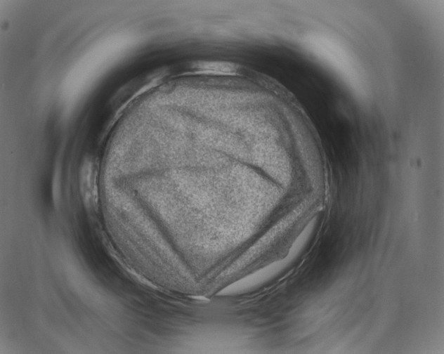 X0000084031487200703161753