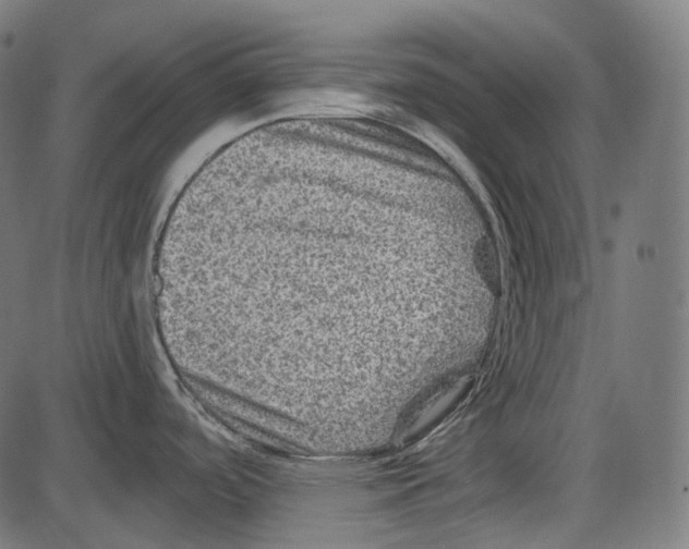 X0000084031488200703161753