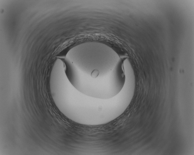 X0000084031489200703161752