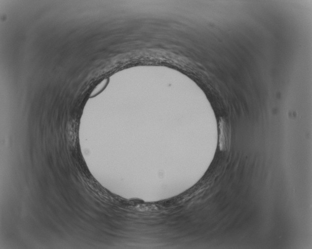 X0000084031491200703161752