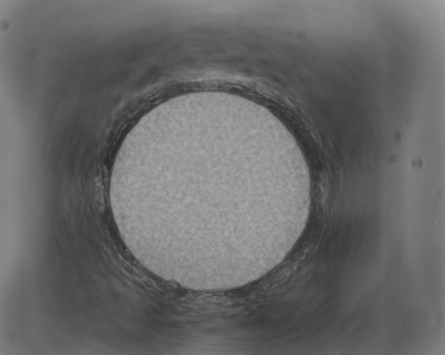 X0000084031493200703161752