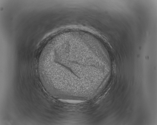 X0000084031494200703161752