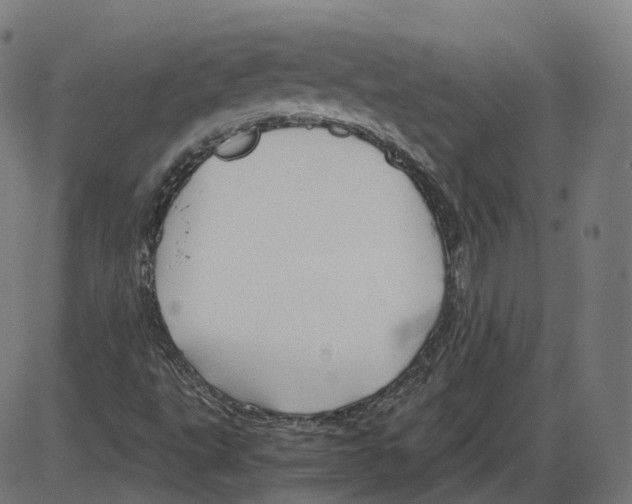 X0000084031495200703161752