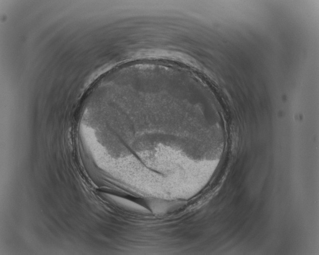 X0000084031497200703161752