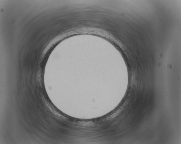 X0000084031498200703161752